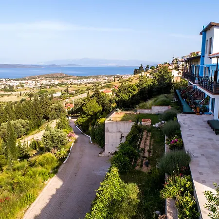 Mavi Keci موردوغان