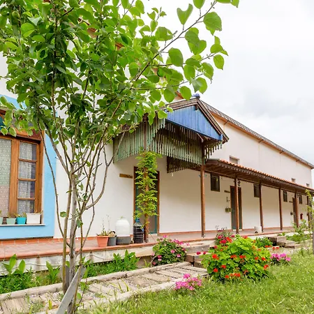 Mavi Keci 3* Mordogan