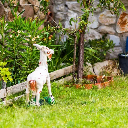 Mavi Keci Hotell Mordogan