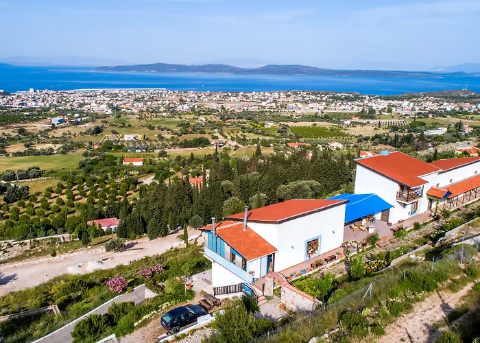 Mavi Keci Mordogan
