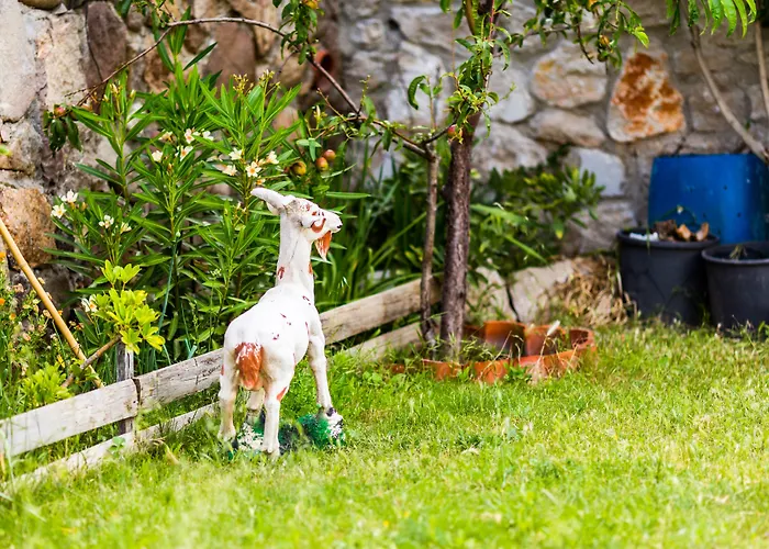 Mavi Keci Hotel Mordogan