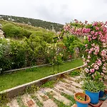 Mavi Keci Mordogan