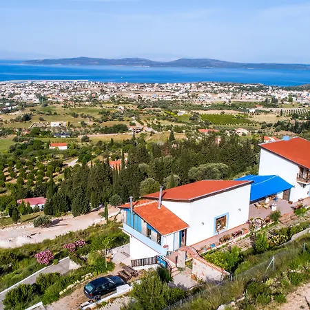 Mavi Keci Mordogan