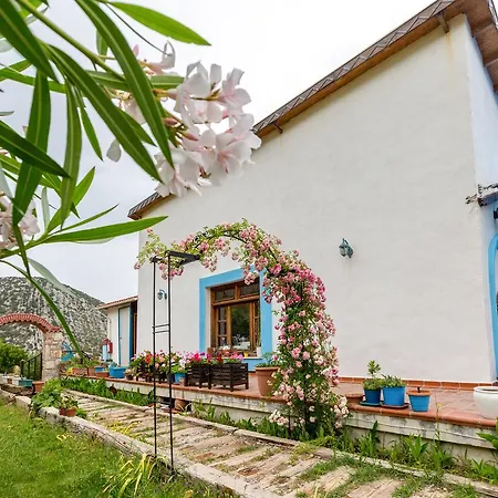 Mavi Keci Hotel